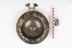 Foto von Bronzebreitrandschale (NHMW-PRAE-025247)